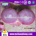 2014 New Fresh Red Onion Prix le plus bas